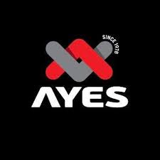 AYES